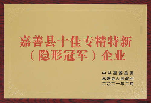 嘉善县十佳专精特新企业