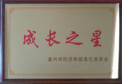 嘉兴市中小企业成长之星